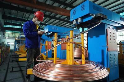 頭雁領航，雁陣齊飛 上海金山“光電傳輸谷”驅動金屬制品產業集群提級增效